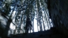 the100302_2471.jpg