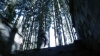 the100302_2472.jpg