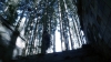 the100302_2473.jpg