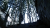 the100302_2474.jpg