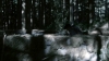 the100302_2477.jpg