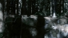 the100302_2478.jpg