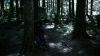 the100302_2559.jpg