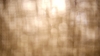 the100302_2648.jpg