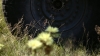 the100303_0409.jpg