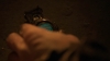 the100303_0983.jpg