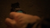 the100303_0984.jpg