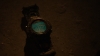 the100303_0985.jpg