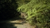 the100303_1454.jpg