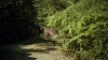the100303_1455.jpg