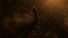 the100303_1621.jpg