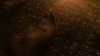 the100303_1623.jpg