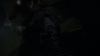 the100303_1974.jpg