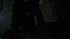 the100303_1976.jpg