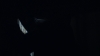 the100303_2026.jpg