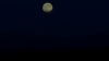 the100303_2655.jpg