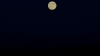 the100303_2656.jpg