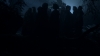 the100303_2758.jpg
