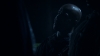 the100303_2765.jpg
