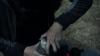the100304_1245.jpg