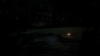 the100304_2584.jpg