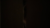 the100304_2652.jpg