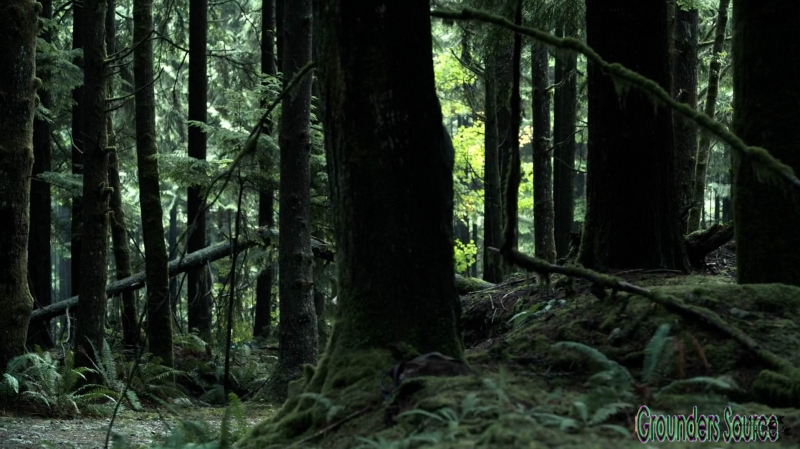The 100 Season Three Episode Five Hakeldama-1868
