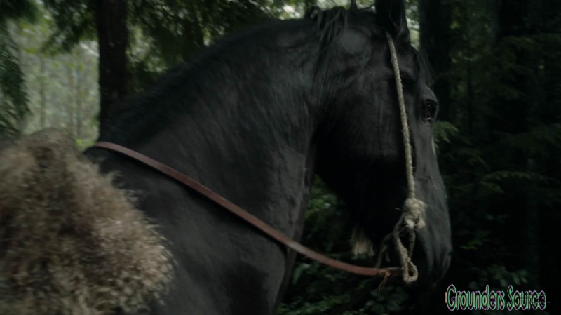 The 100 Season Three Episode Five Hakeldama-479
