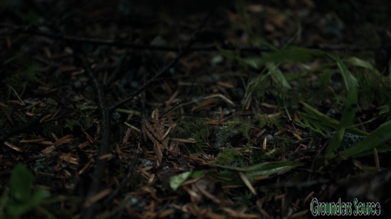 The 100 Season Three Episode Five Hakeldama-440
