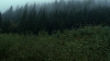 the100305_0001.jpg