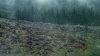 the100305_0196.jpg