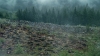 the100305_0197.jpg