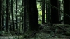 the100305_0942.jpg