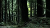 the100305_0943.jpg