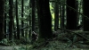the100305_0944.jpg