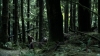 the100305_0945.jpg