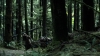 the100305_0946.jpg