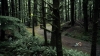 the100305_0947.jpg