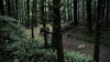 the100305_0958.jpg