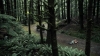 the100305_0959.jpg