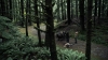 the100305_1024.jpg