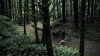 the100305_1026.jpg