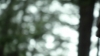 the100305_1047.jpg