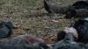 the100305_1321.jpg