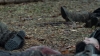 the100305_1322.jpg