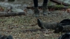 the100305_1324.jpg