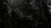 the100305_1452.jpg