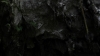 the100305_1453.jpg