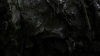 the100305_1454.jpg