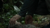 the100305_2286.jpg